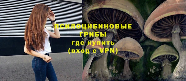 спиды Абинск
