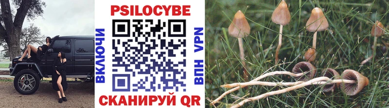 Галлюциногенные грибы прущие грибы  где купить наркоту  Тотьма 